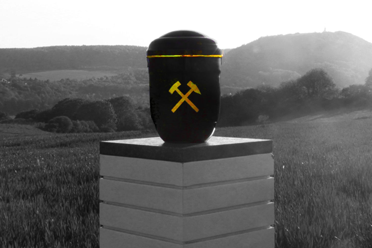 Aus der Region, f&uuml;r die Region